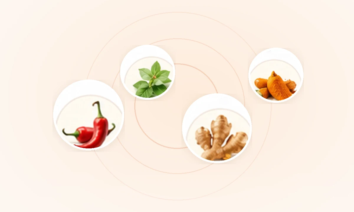 Botanical ingredients commonly associated with warming topical formulas